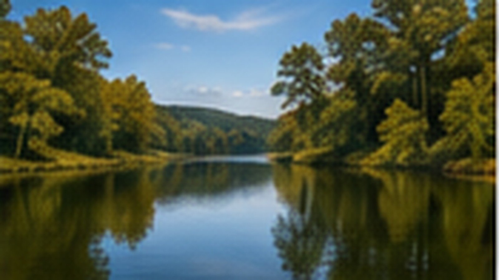 Busch Wildlife fishing area