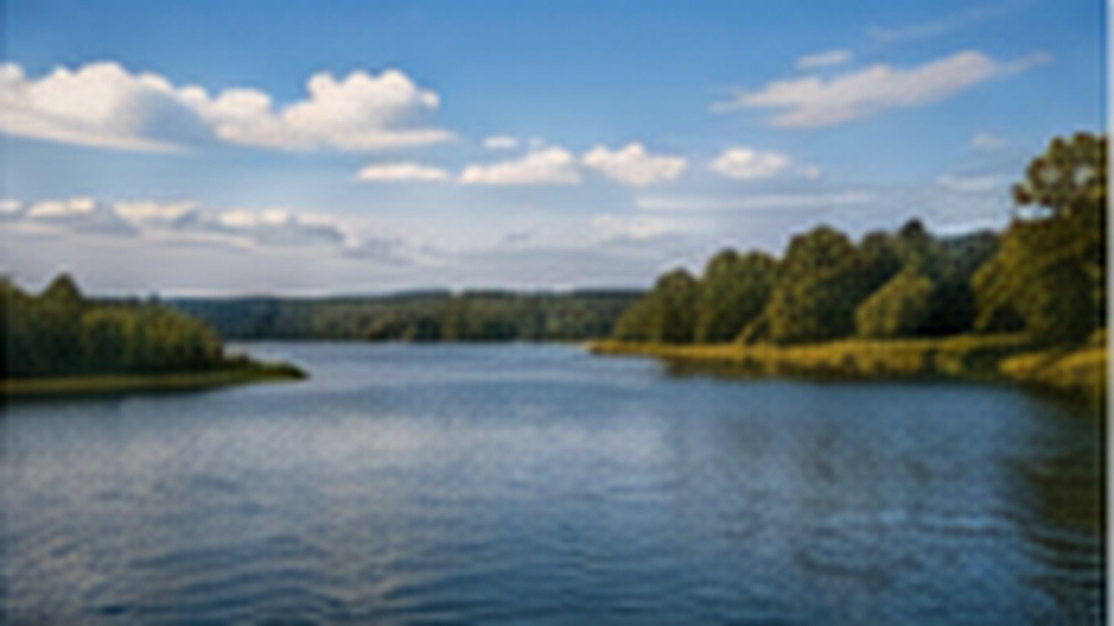 Creve Coeur Lake