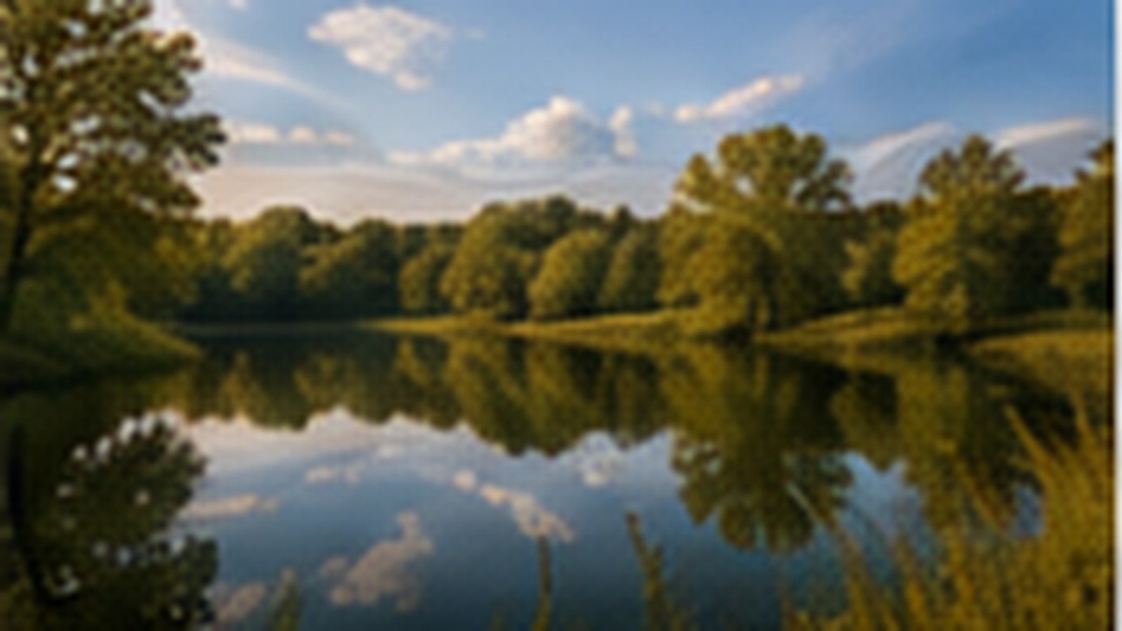 Simpson Lake